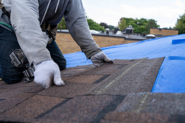 Best Roof Gutter Cleaning  in Eunice, NM